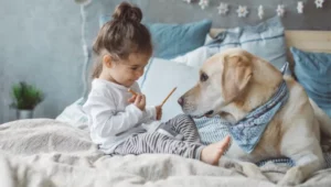 Lee más sobre el artículo Labrador Retriever: características, cuidados y personalidad