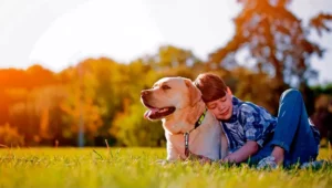 Lee más sobre el artículo 14 Razas de perros ideales para convivir con niños